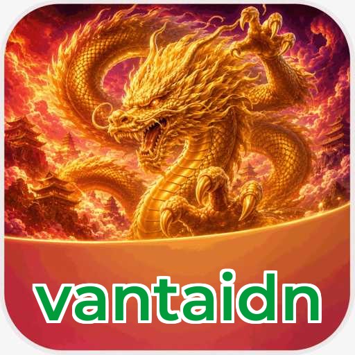 Logo vantaidn
