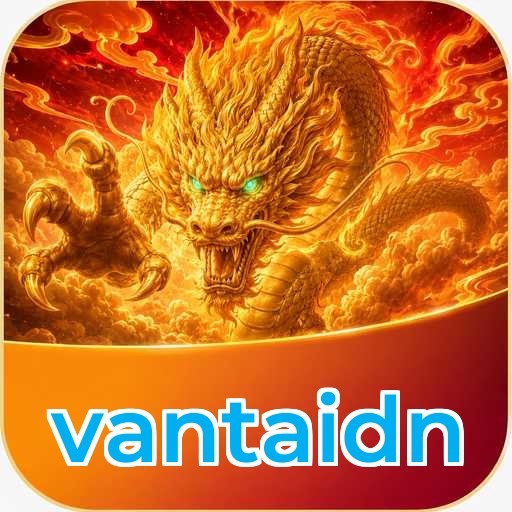 Logo vantaidn